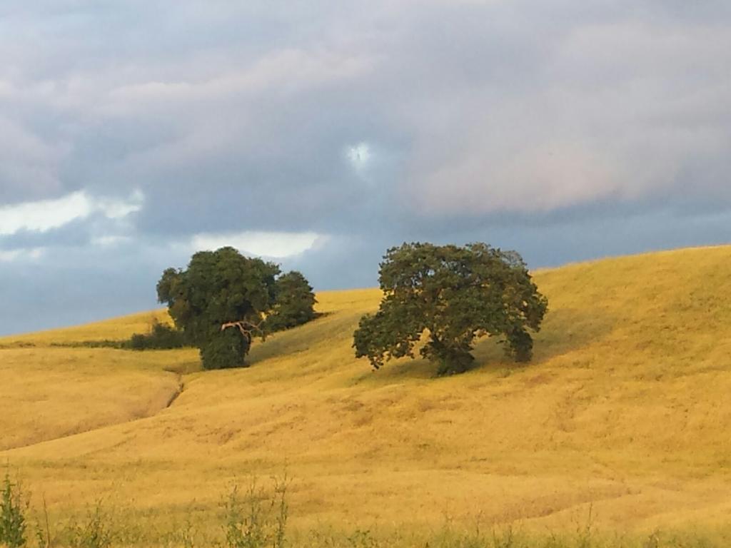 מונטרוני ד'ארביה Agriturismo San Pierino מראה חיצוני תמונה
